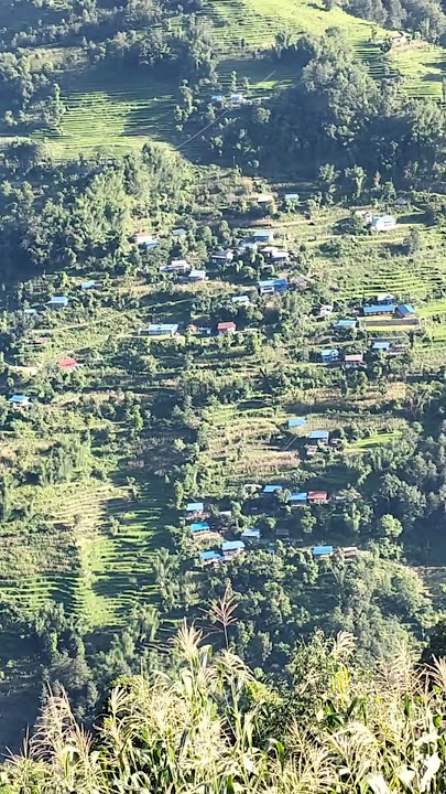 Beautiful village#viralvideo #newsong #nature #village