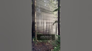 تلاوة للقارئ: صلاح الدين ابراهيم