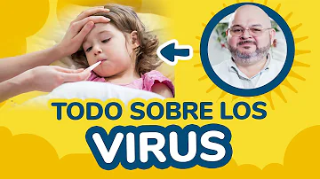 ¿Las infecciones víricas se curan solas?