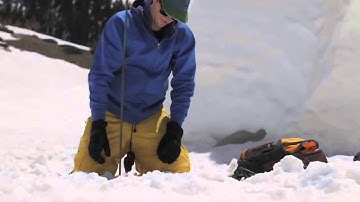 BCA Companion Rescue Series  Beacon Searching 101