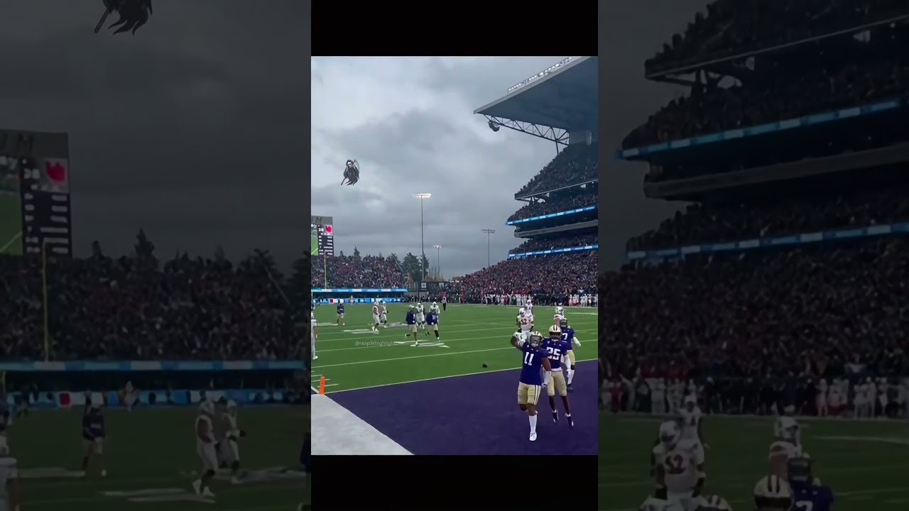 This Was The Last Time Bro Touched A Ball Americanfootball