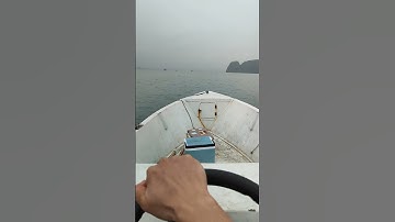 câu iso cá tráp trên vịnh hạ long