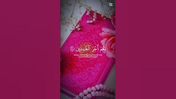 القران الكريم ربيع القلوب 🤍🤍🤍