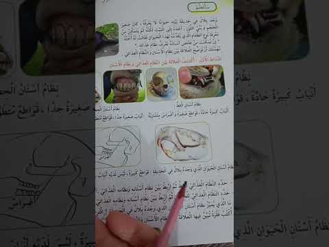 نظام الأسنان عند الحيوان تربية علمية ص 40 41 السنة الثالثة ابتدائي تعليم