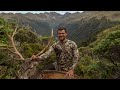 Pre-Roar Red Stag Tops Hunting -  Public Land in the Southern Alps of New Zealand
