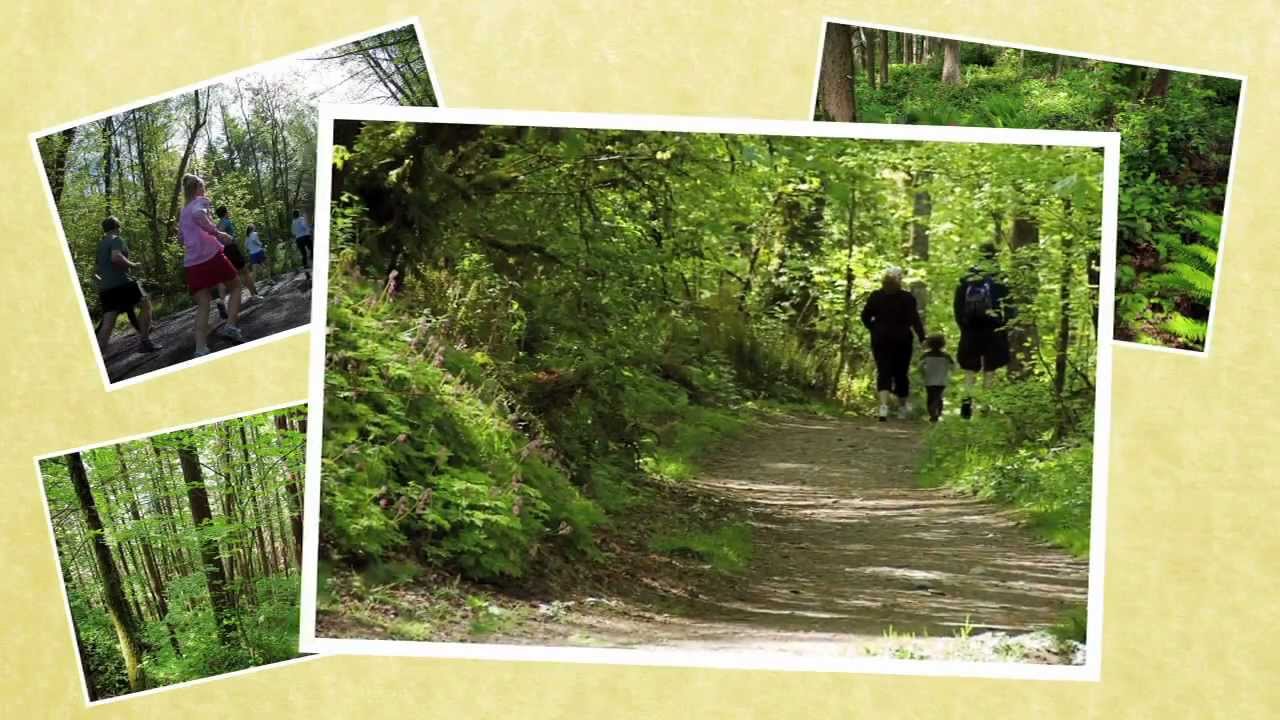 Cougar Mountain Regional Wildland Park