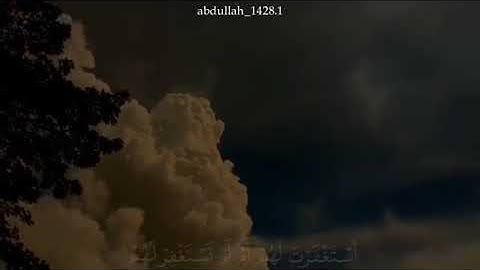 ما تيسر من سورة المنافقون