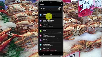 How to change Magnifier Window size in Samsung Galaxy S21, S21Plus, or S21 Ultra