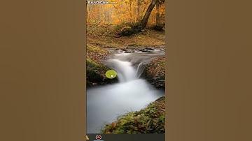 hide taskbar #shorts #youtubeshorts #computer #window10 #shortsfeed