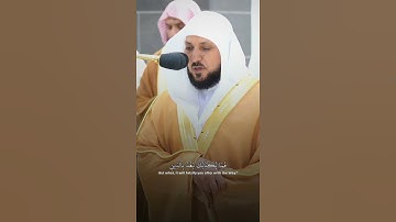 سورة التين الشيخ ماهر المعيقلي تلاوة مؤثرة