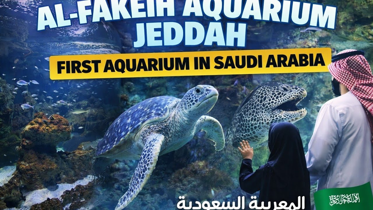 Al-Fakeih Aquarium Jeddah - First Aquarium in Saudi Arabia | Naheed Vlogs