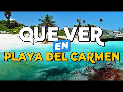 Video: Playa del Carmen, México: Guía de viaje
