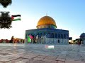 تصميمي لفلسطين الله ينصرهم يارب العالمين كلنا مع فلسطين