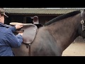 Riding Side Saddle - Our First Lesson - This Cob Can