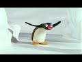 Pingu NOOT NOOT Compilation 2 Pingu NOOT NOOT Compilation 2