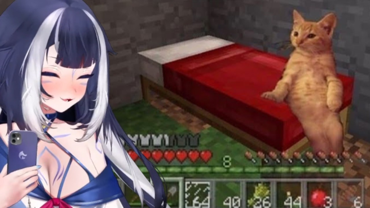 Shylily Loses It Watching Funny Cats