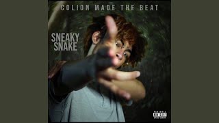 Sneaky Snake