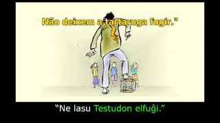 Testudo kun fluto COM DUAS LEGENDAS