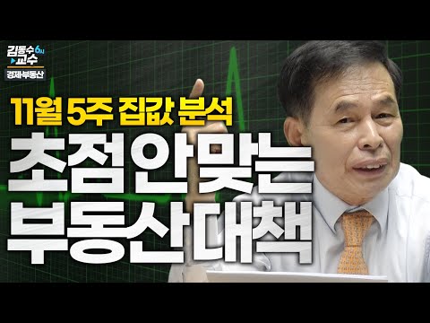 초점 안 맞는 부동산대책 / 11월 5주 집값 분석 [김동수 교수 부동산]