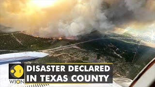 Extreme heat fuels Texas wildfires, destroy over 60 homes | WION Climate Tracker