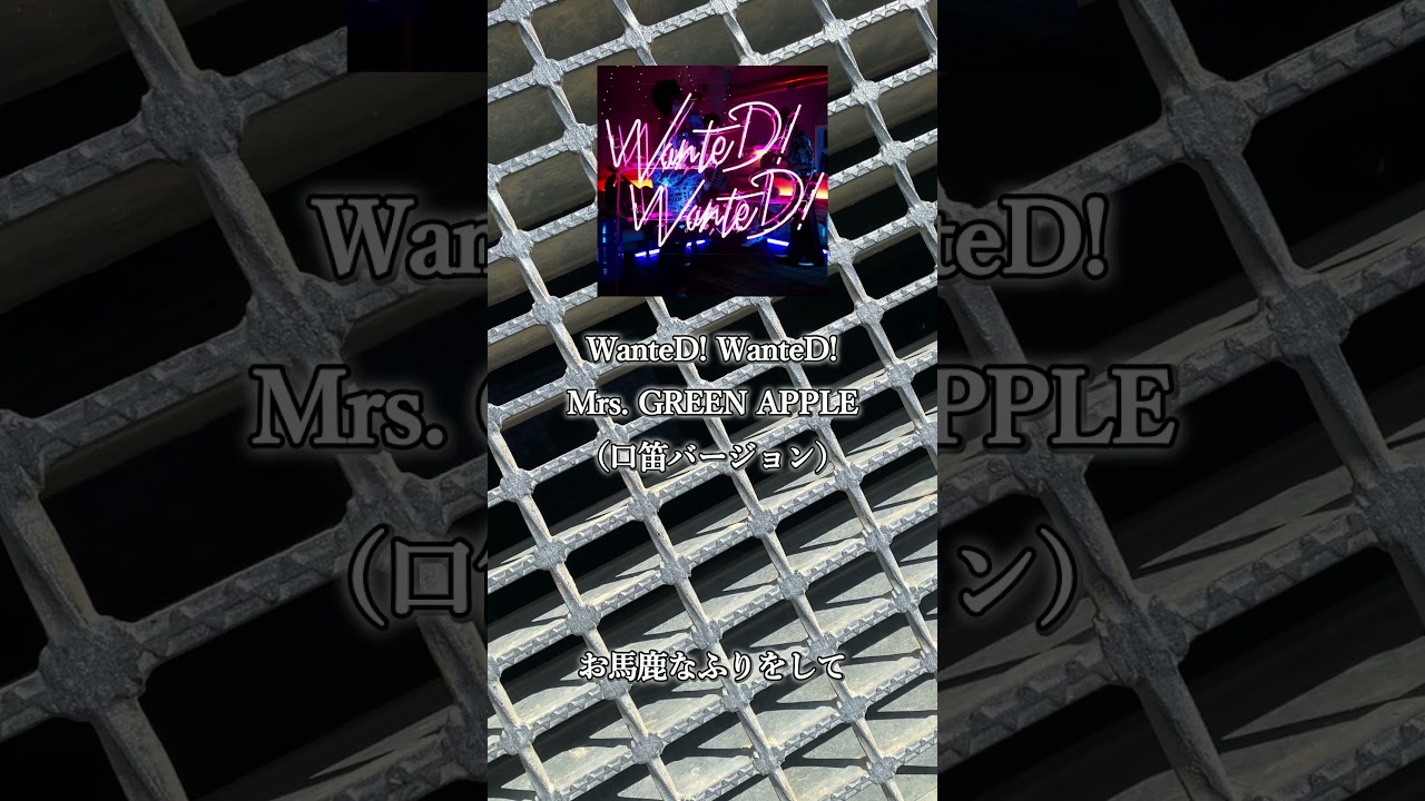 【衝撃】排水溝から謎の声が