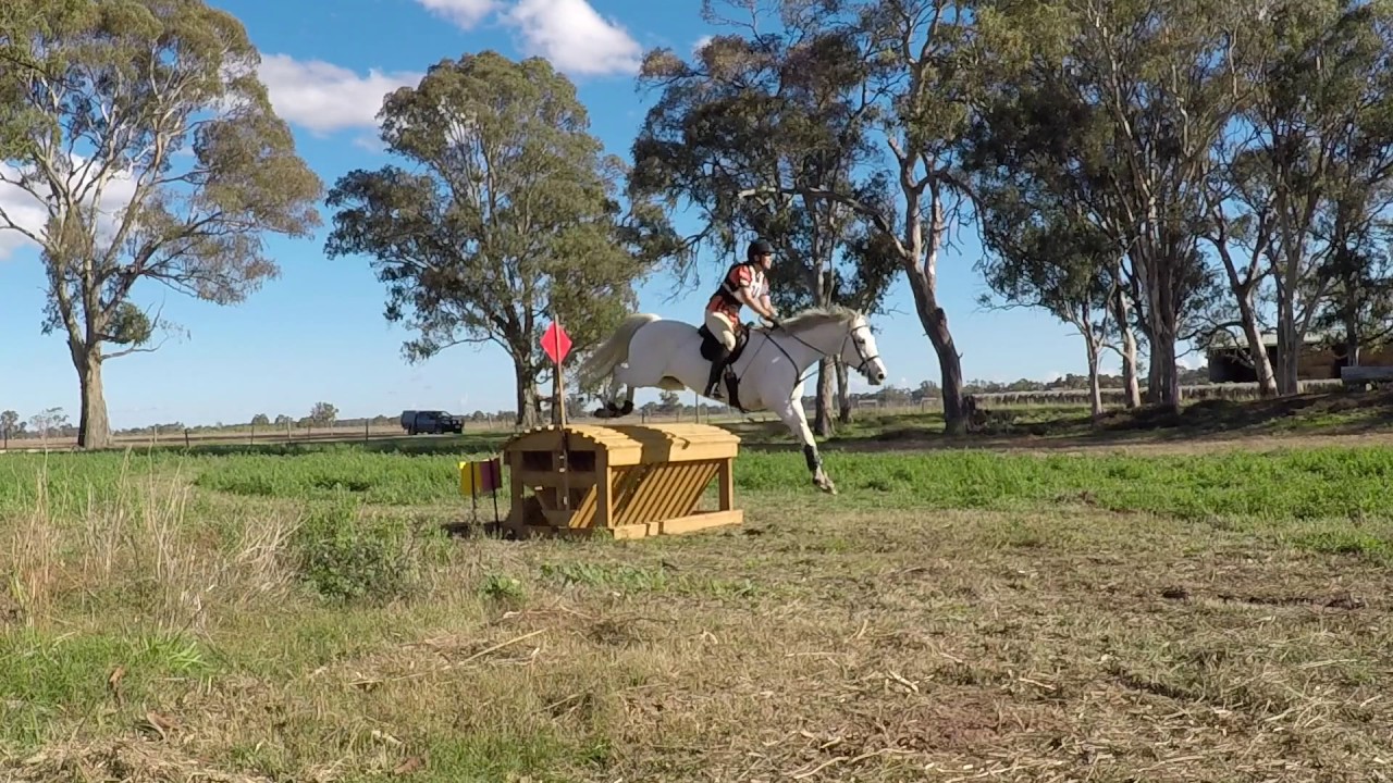 Rider 34 Judith Newton Riding SEA SABRE EVA 105 Naracoorte Horse Trials 2017