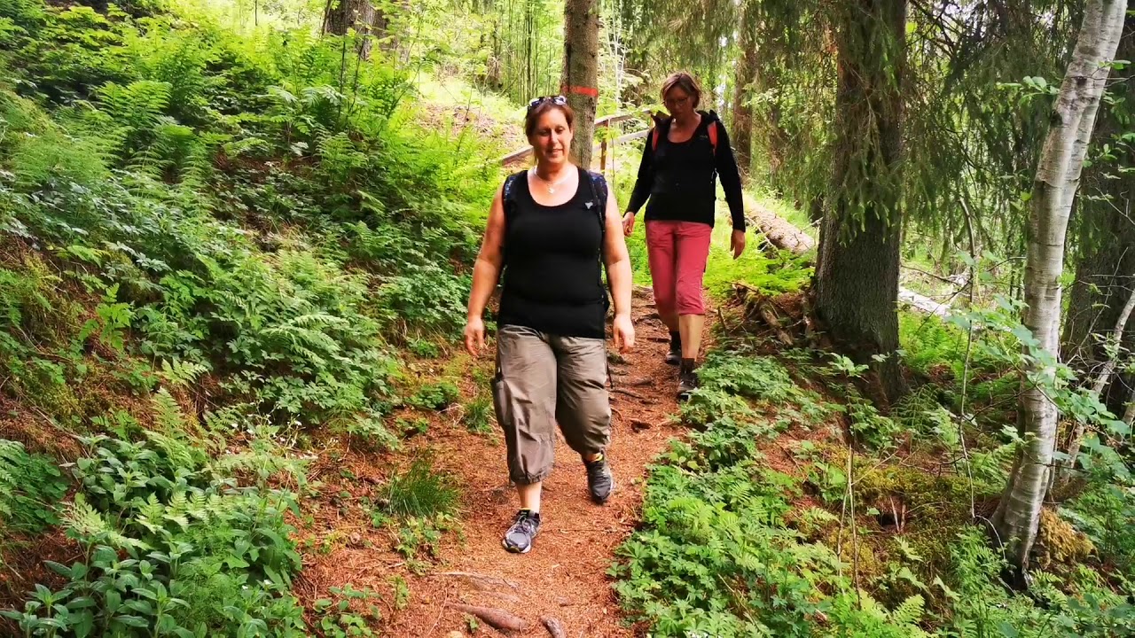 Solvarboravinen till Säterdalen