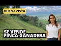 Video de Buenavista