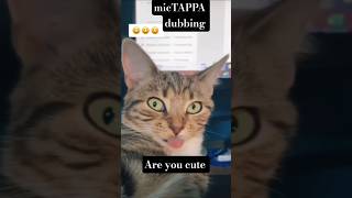 Are you cute #viralvideo #shortsfeed #shortvideo #baby #petlover #funny #animals #funnyfunnyanimals