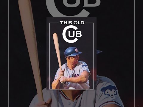 This Old Cub