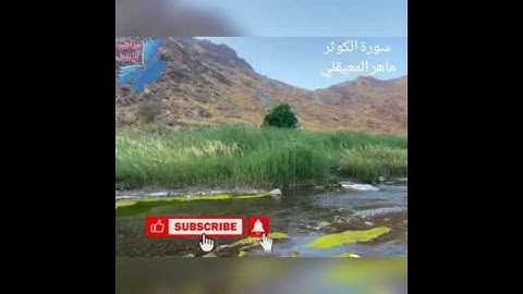 سورة الكوثر _ ماهر المعيقلي _ المصحف الكامل