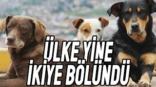 Sokak Köpekleri Olayları Üzerine Podcast