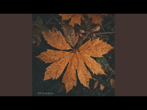 Foliage bekijken op YouTube Foliage bekijken op YouTube