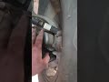 Check your pigeon! #mechanic #pigeon #truck