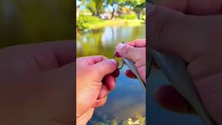 #fish #fishing #отдых #2023 #рыбалка #рыба #angry #shorts #лайфхаки #life #lifehack #shortvideo