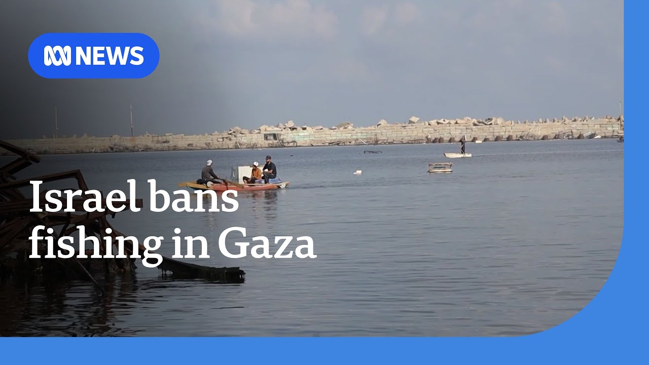 Israel bans fishing in Gaza amid food shortage | ABC NEWS
