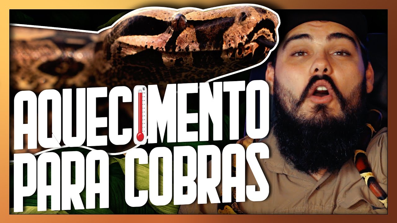 Como AQUECER minha COBRA? | Qual melhor AQUECIMENTO para as SERPENTES? | Biólogo Tai