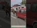 Horse-Powered Minivan: The Ultimate Upcycle 🐴🚐