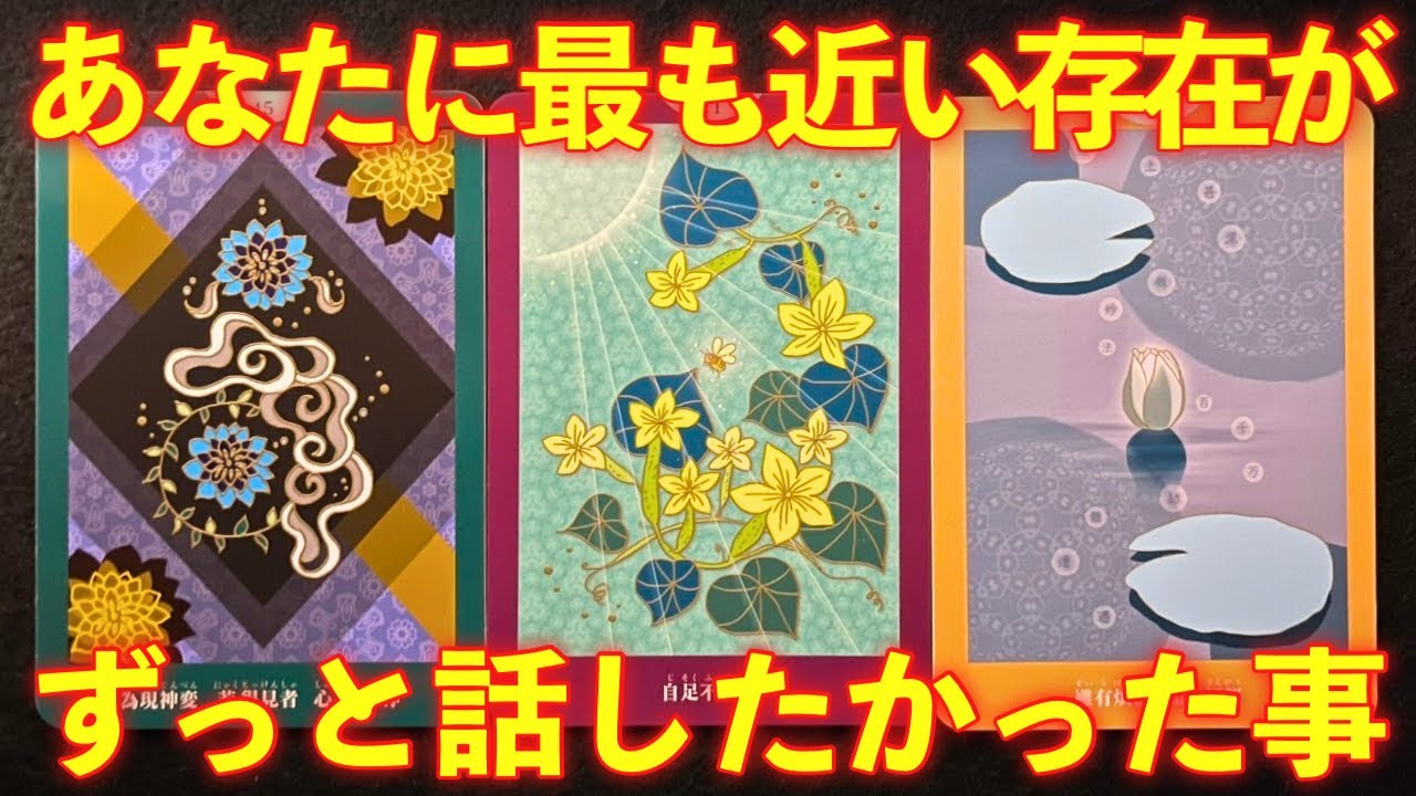 【超重要⚠️】あなたに最も近い存在が、ずっと話したかった事があります‼️怖いほど当たる✨人生が変わるオラクルカードリーディング✨占い✨スピリチュアル✨/Message for you/Oracle