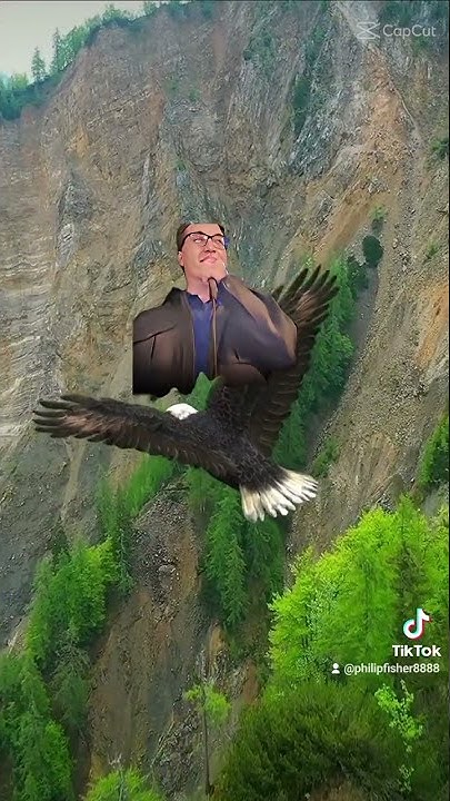I Am Flying High YouTube i-am-flying-high-youtube