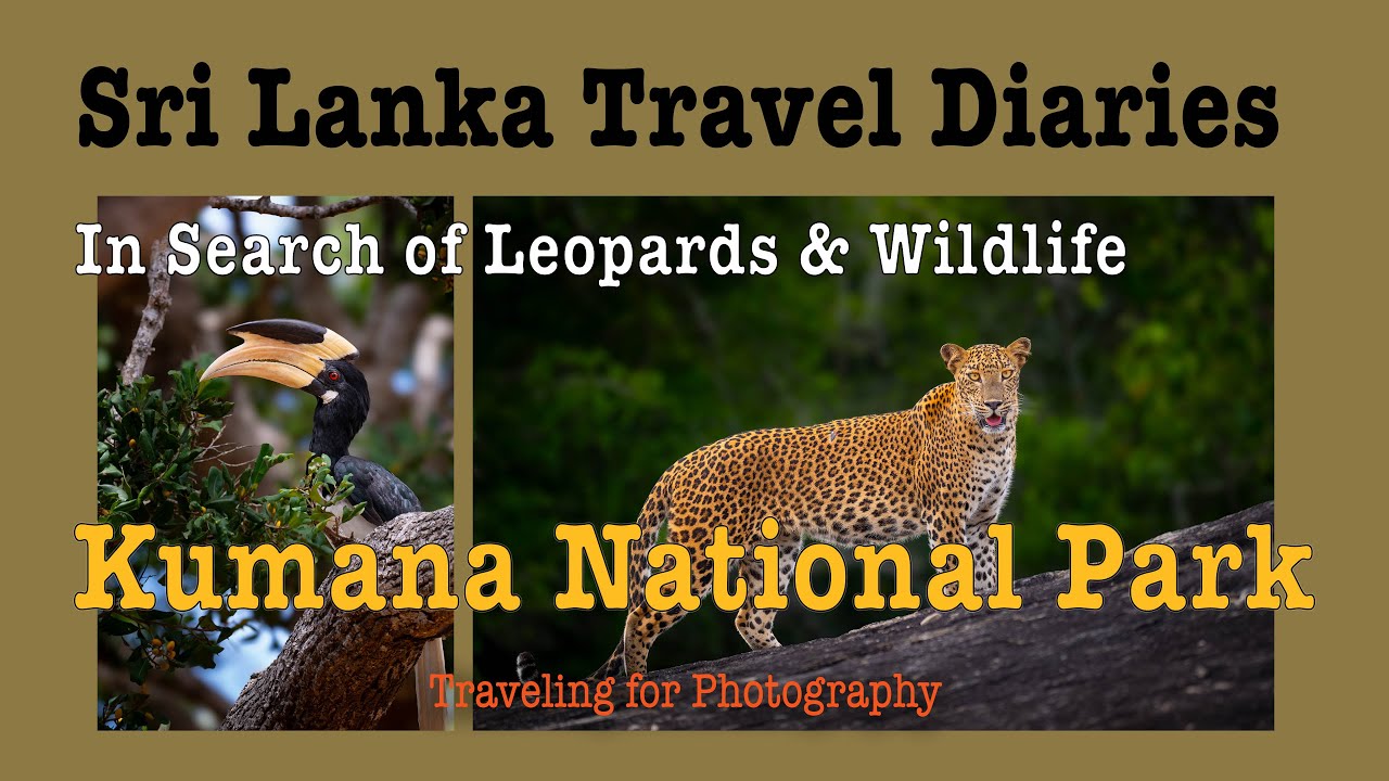 Sri Lanka Travel Diaries Part Two Kumana National Park