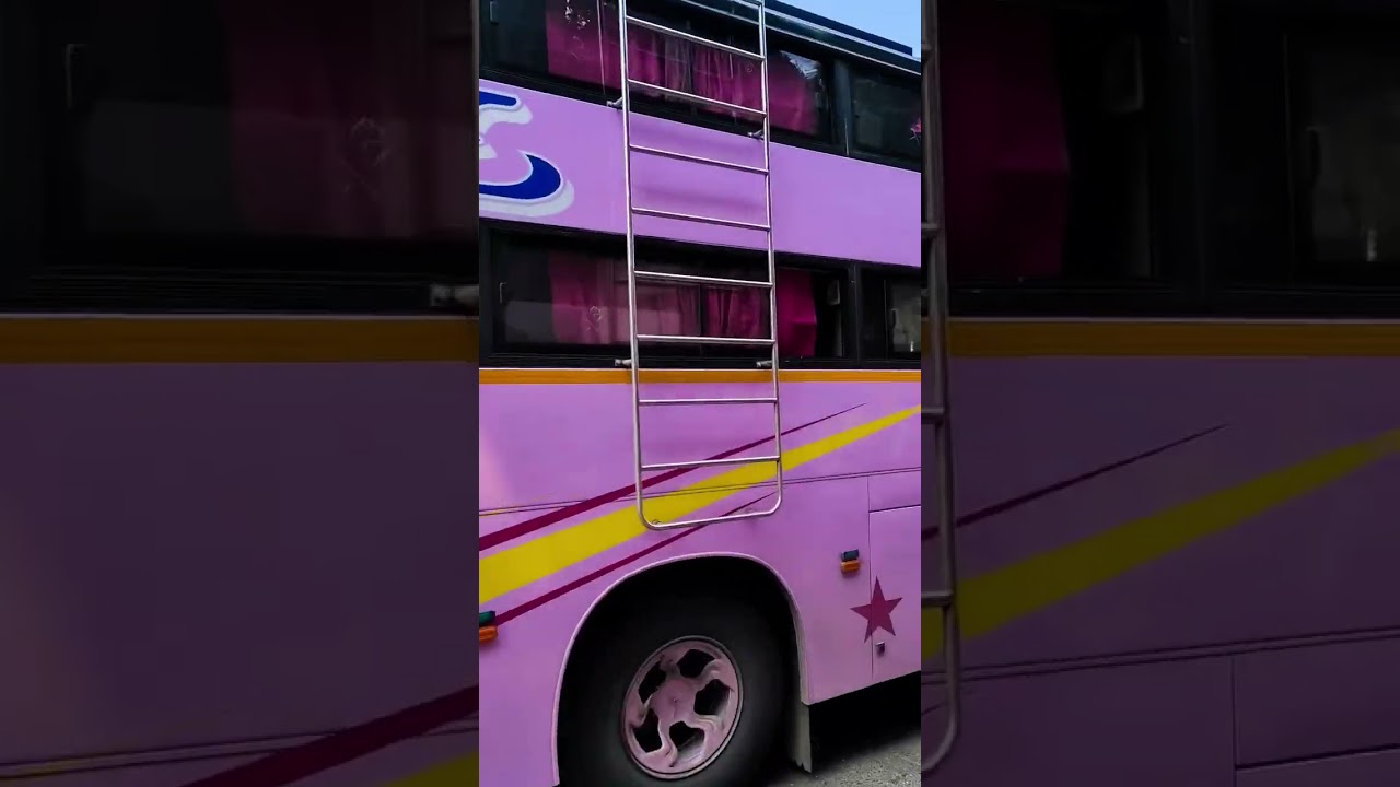 BRAND NEW ROYAL TRAVELS ON THE WAY LOOK 💸📈❤️