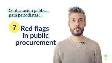 7. Red flags in public procurement