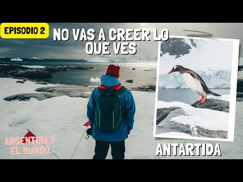Video: Crucero Antártida: visitando la Isla Elefante en zodiacs