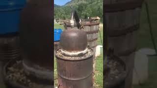 IMG 8805