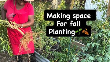 ONE LAST PEPPER HARVEST‼️🥬🍁🥦