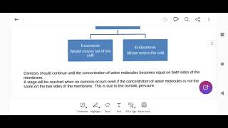 Class 10 icse Biology chapter 4 Absorption by roots