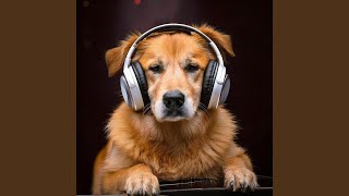 Dogs’ Rhythmic Harmony