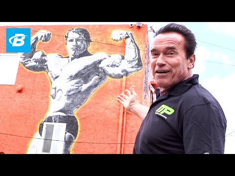 Arnold Schwarzenegger's Venice Beach Car Tour | Arnold Schwarzenegger's Blueprint Training Program