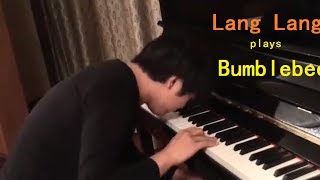 Lang Lang plays Bumblebee with NOSE and one hand screenshot 2